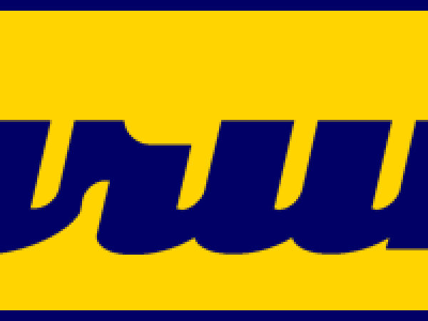 Pakiautode, kaubikute rehvid
